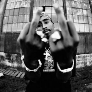 Meet your Posher, Shovel gang affiliates